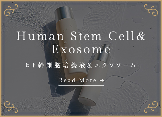Human Stem Cell& Exosome ヒト幹細胞培養液＆エクソソーム